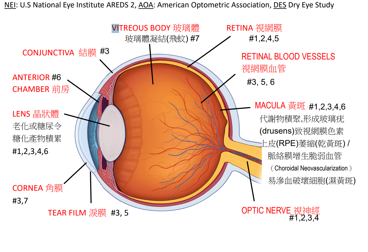 EyeOK 愛眼健