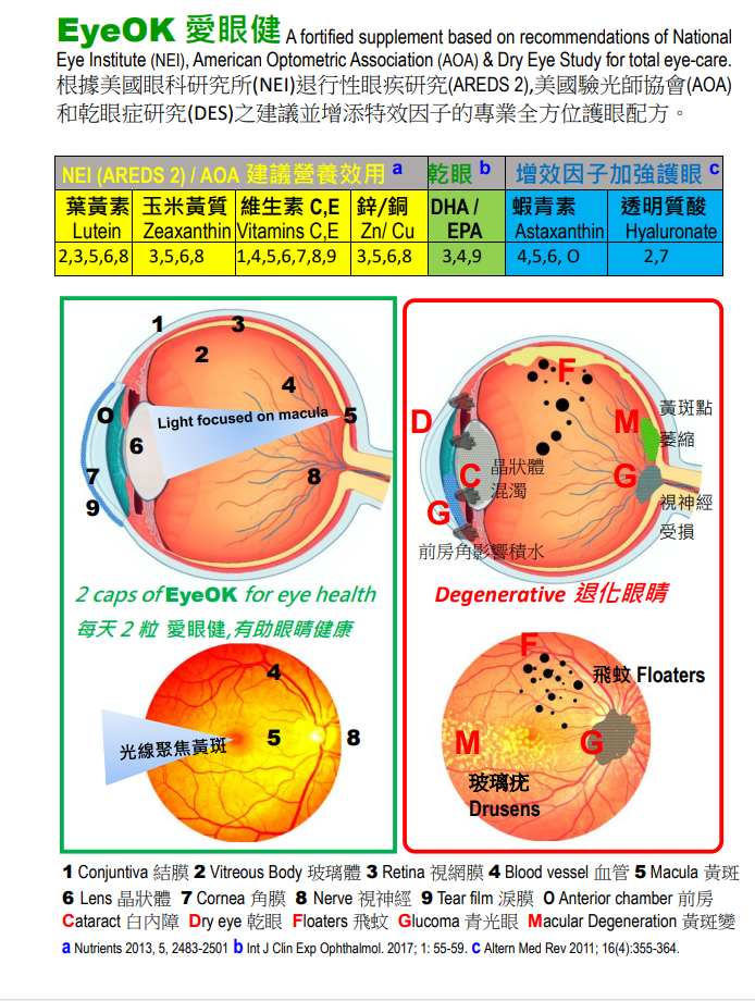EyeOK 愛眼健