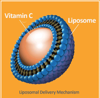 VEGIELIGHT Liposomal Vitamin C 脂質性維他命C