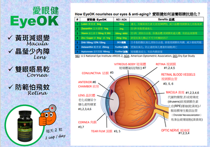 EyeOK 愛眼健