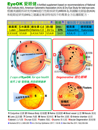 EyeOK 愛眼健