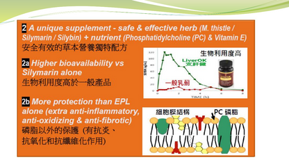 支肝健LiverOK
