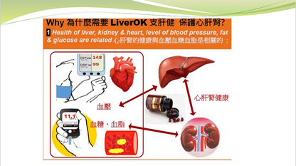 支肝健LiverOK