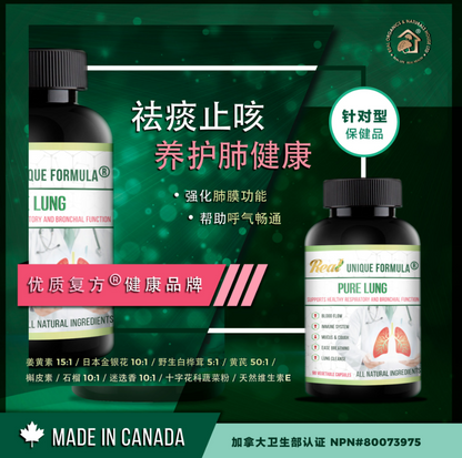 淳·復方清肺膠囊