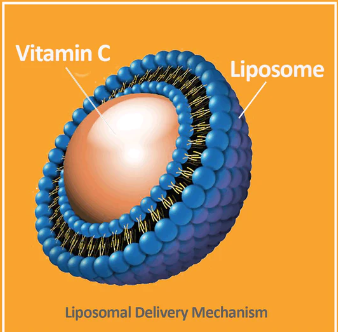 VEGIELIGHT Liposomal Vitamin C  脂質性維他命C